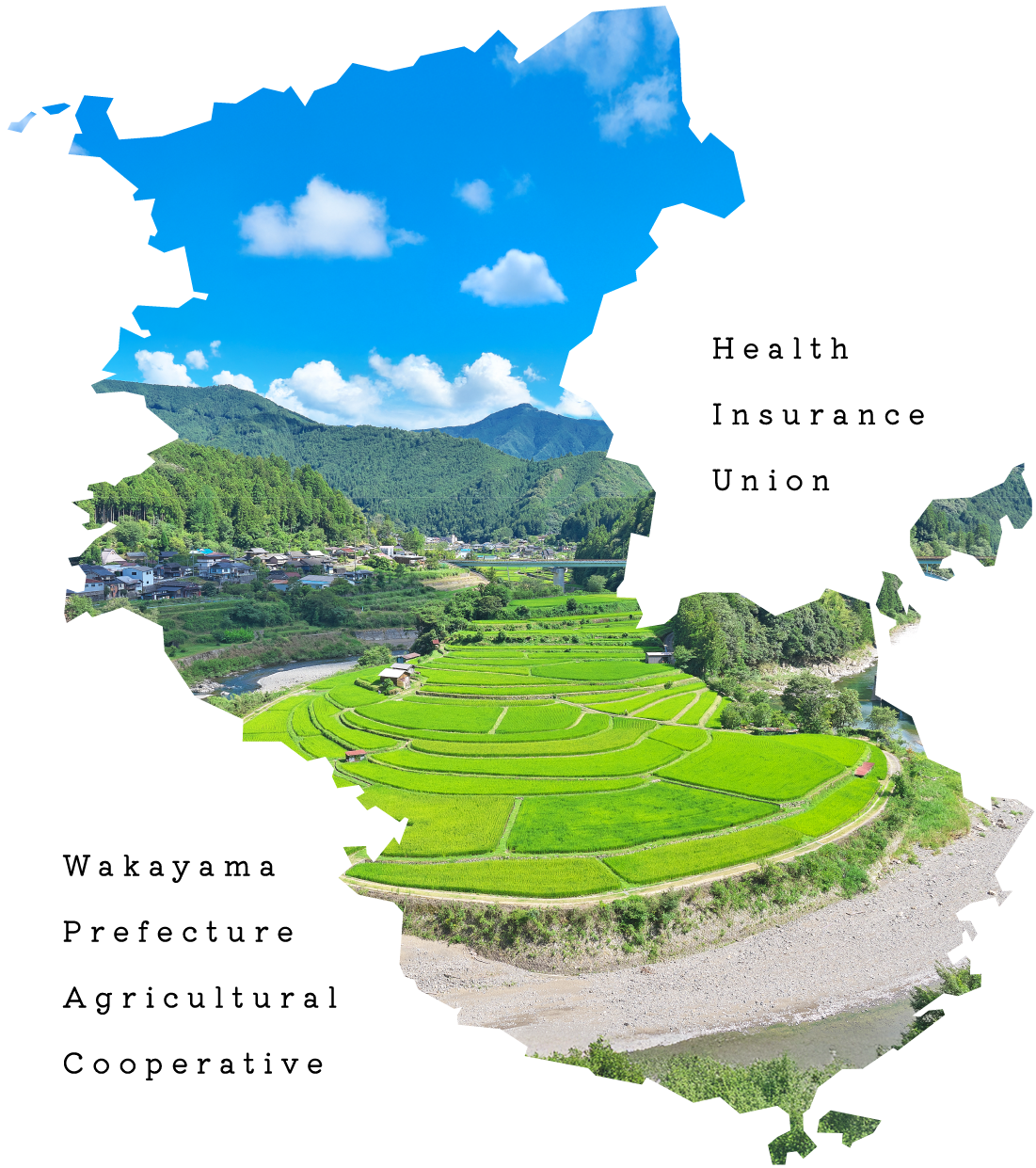 和歌山県農協健康保険組合